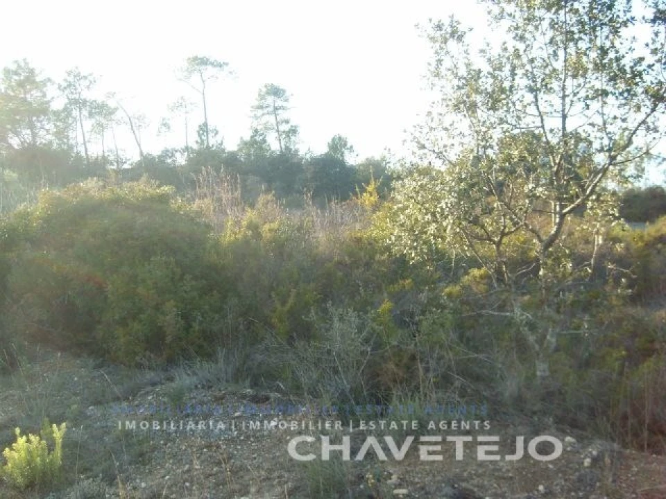 Terreno para Venda em Olaia e Paço Foto 6