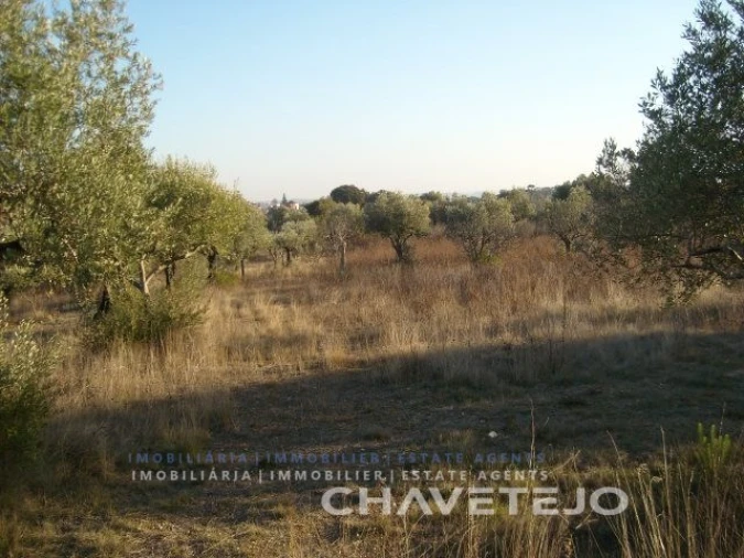 Terreno para Venda em Olaia e Paço Foto 2