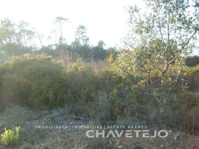Terreno para Venda em Olaia e Paço Foto 6