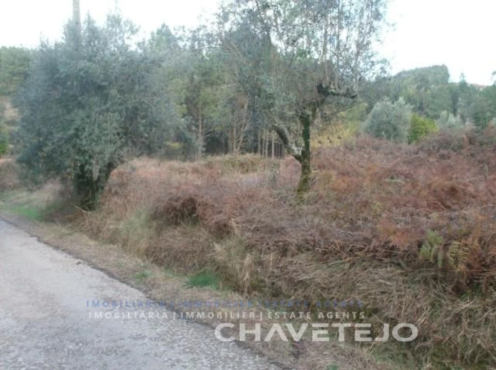 Terreno para Venda em Serra e Junceira Foto 1