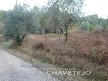 Terreno para Venda em Serra e Junceira