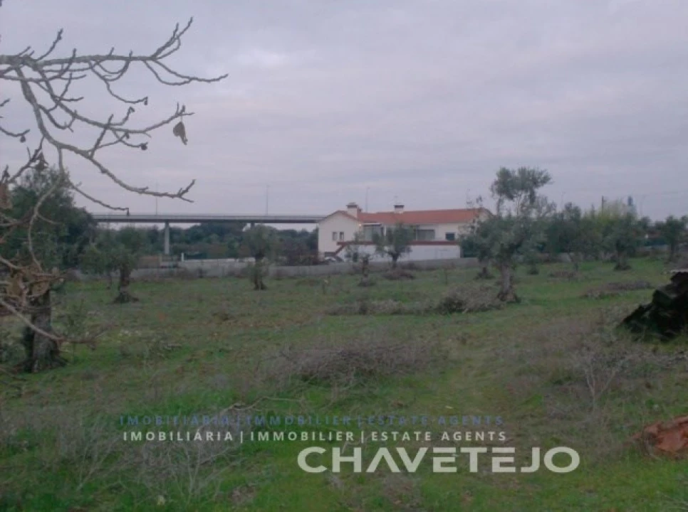Terreno para Venda em Paialvo Foto 1