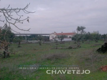 Terreno para Venda em Paialvo