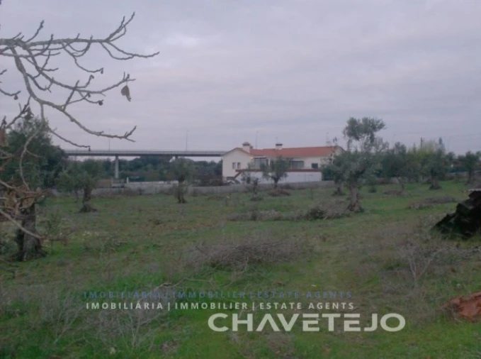 Terreno para Venda em Paialvo
