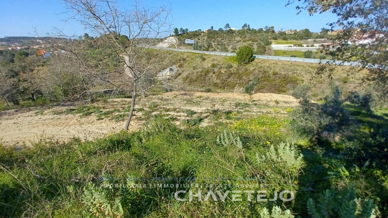 Terreno para Venda em Carregueiros Foto 8