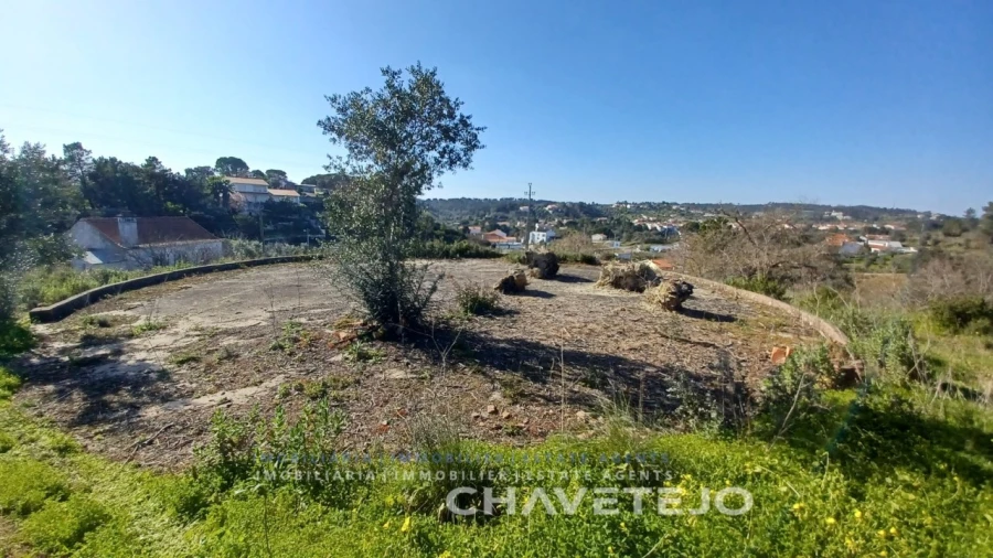 Terreno para Venda em Carregueiros Foto 3