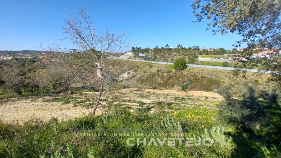 Terreno para Venda em Carregueiros Foto 5