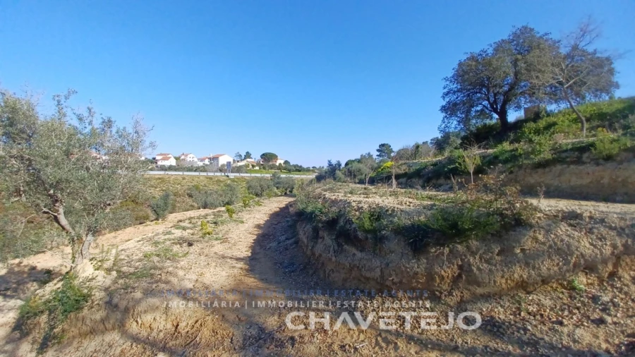 Terreno para Venda em Carregueiros Foto 10