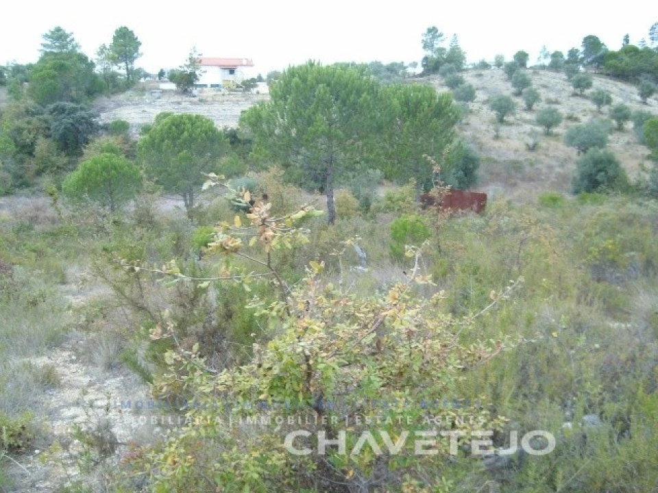 Terreno para Venda em Carregueiros Foto 7