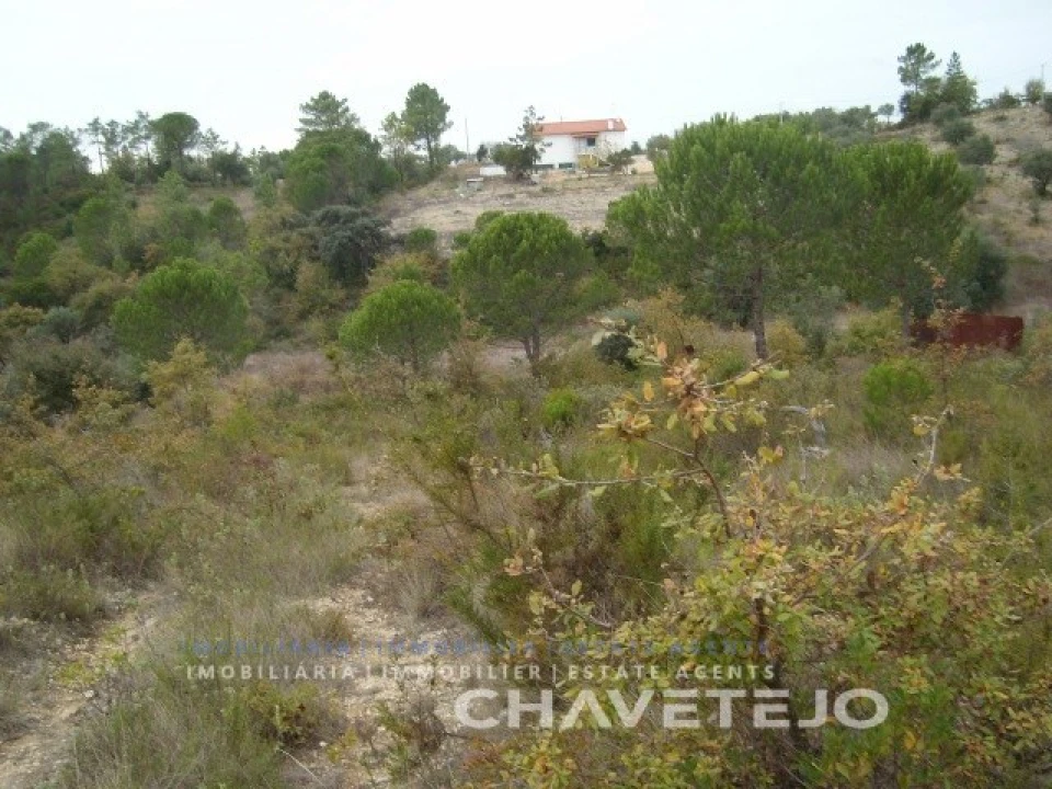 Terreno para Venda em Carregueiros Foto 8