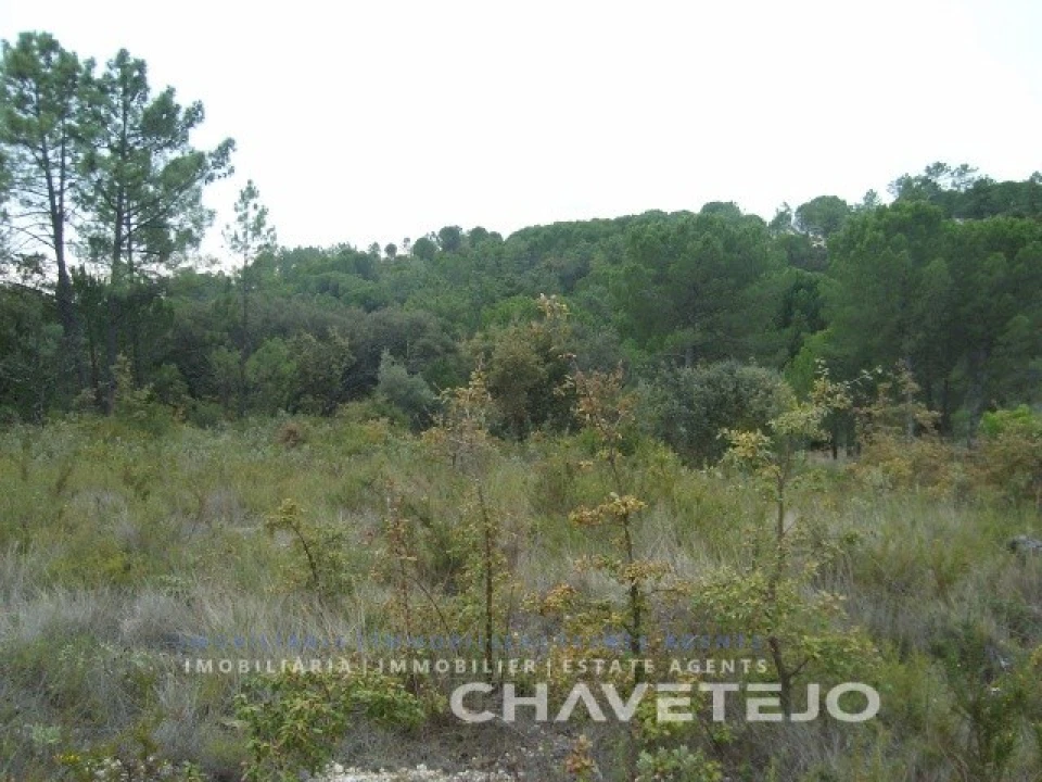 Terreno para Venda em Carregueiros Foto 10