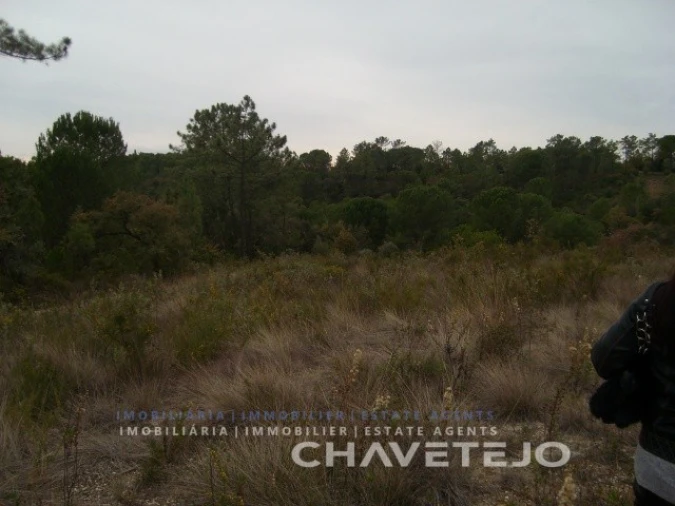 Terreno para Venda em Carregueiros Foto 5