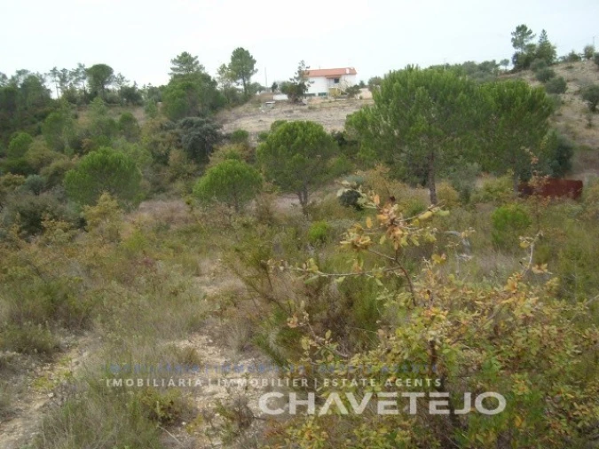 Terreno para Venda em Carregueiros Foto 8