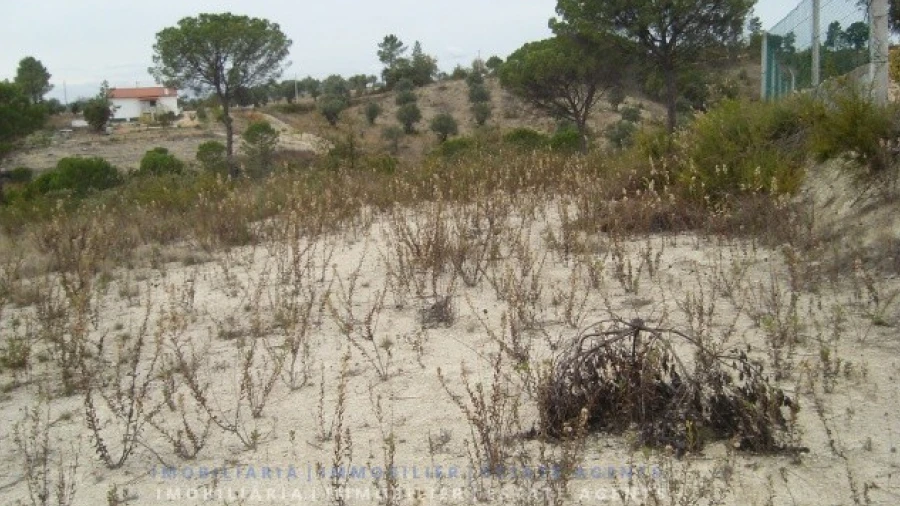 Terreno para Venda em Carregueiros