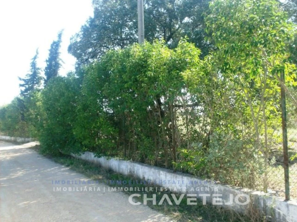 Terreno para Venda em Carregueiros Foto 1