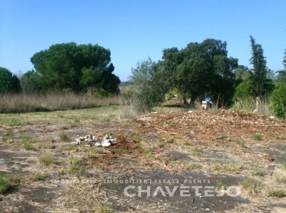 Terreno para Venda em Carregueiros Foto 3
