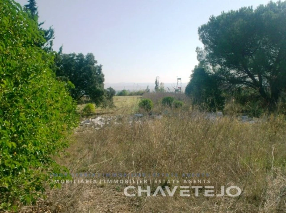 Terreno para Venda em Carregueiros Foto 5