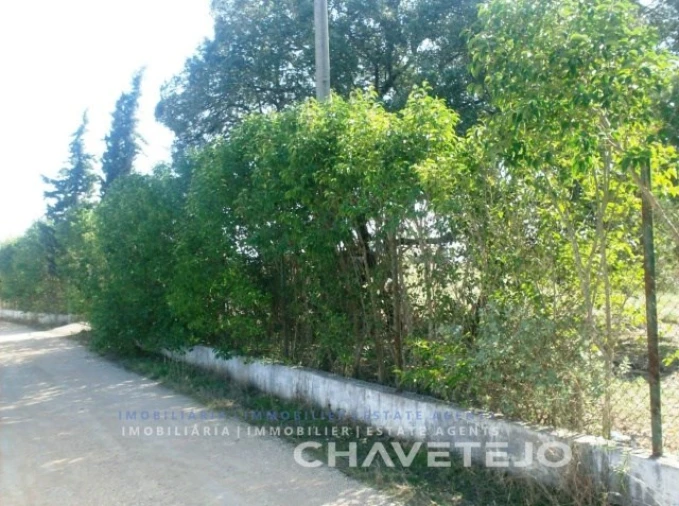 Terreno para Venda em Carregueiros