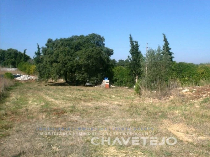 Terreno para Venda em Carregueiros Foto 7