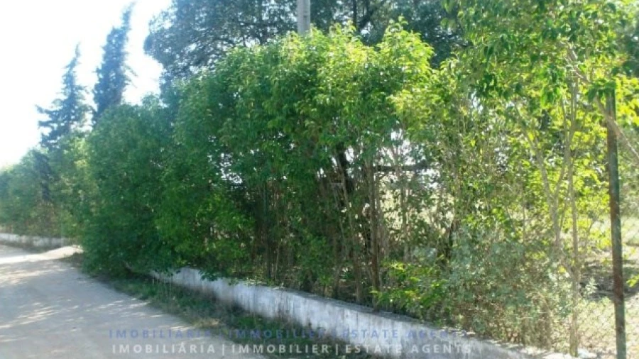 Terreno para Venda em Carregueiros