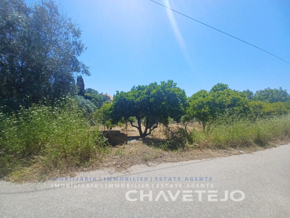Terreno para Venda em Serra e Junceira Foto 3