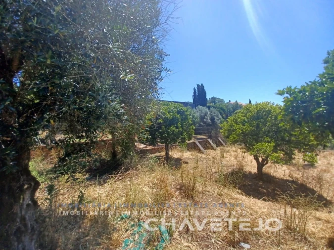 Terreno para Venda em Serra e Junceira Foto 4