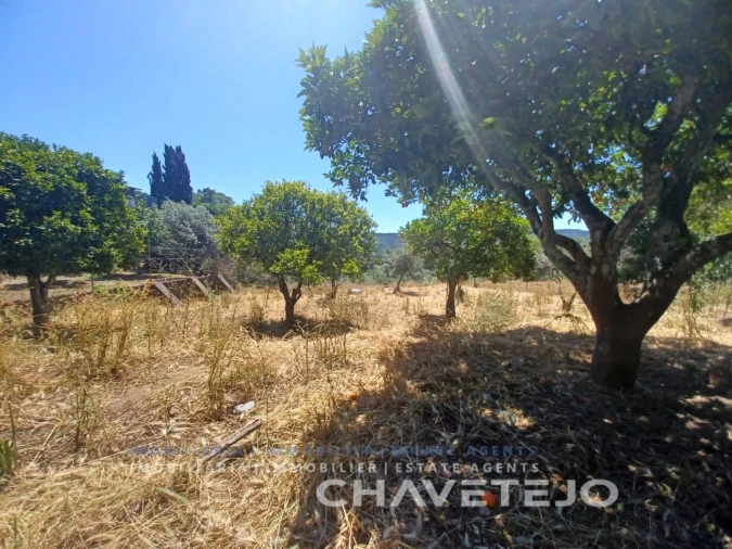 Terreno para Venda em Serra e Junceira Foto 5