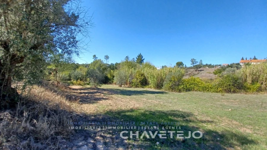 Terreno para Venda em São Pedro de Tomar Foto 2