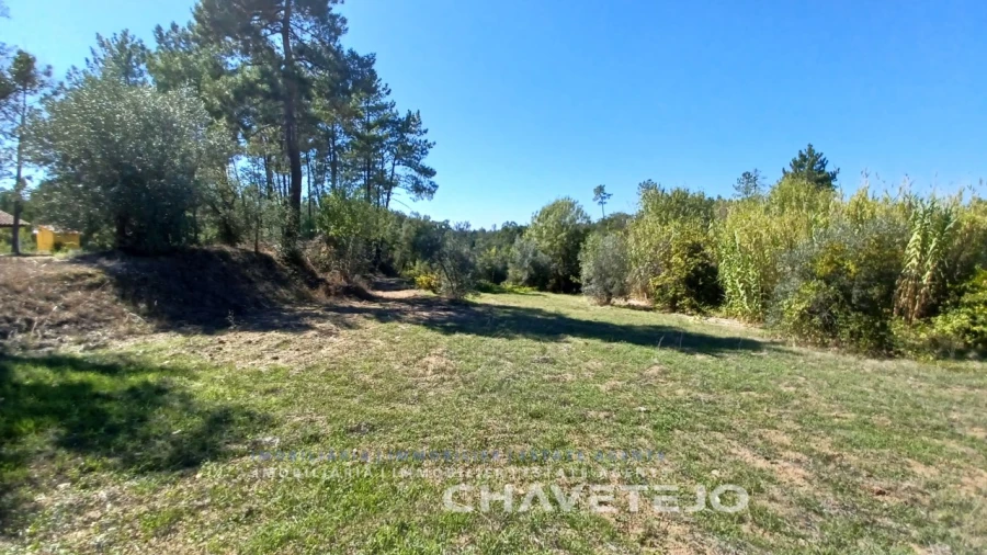 Terreno para Venda em São Pedro de Tomar Foto 8