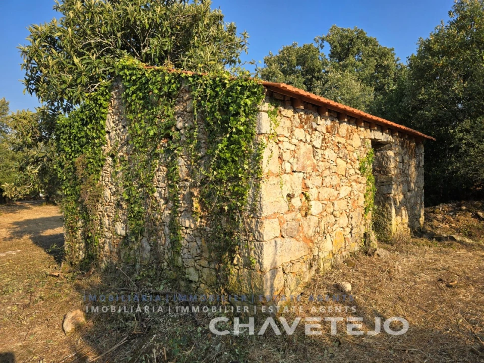 Terreno para Venda em Chãos Foto 8