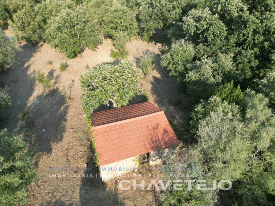 Terreno para Venda em Chãos Foto 18