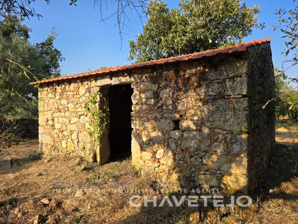 Terreno para Venda em Chãos Foto 20