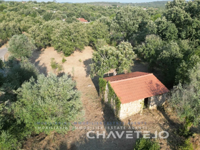 Terreno para Venda em Chãos Foto 1