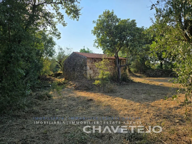 Terreno para Venda em Chãos Foto 11