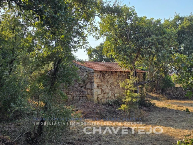 Terreno para Venda em Chãos Foto 12