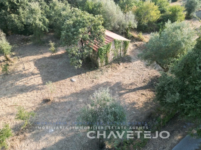 Terreno para Venda em Chãos Foto 15