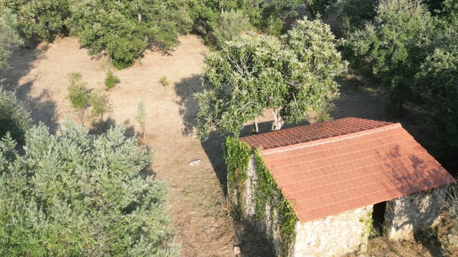 Terreno para Venda em Chãos