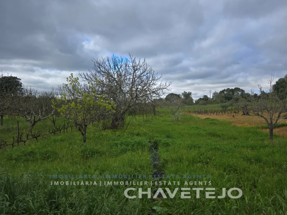 Moradia T4 para Venda em Madalena e Beselga Foto 36