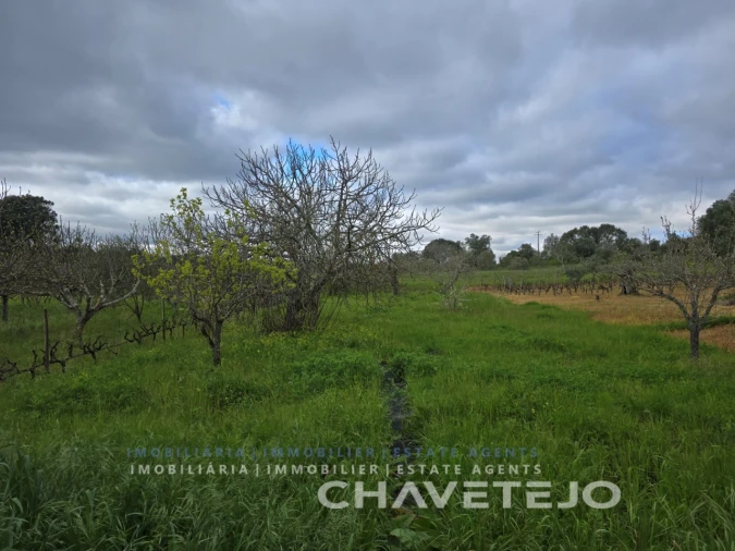 Moradia T4 para Venda em Madalena e Beselga Foto 36