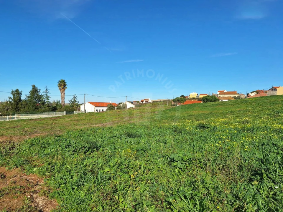 Terreno para Venda em Lamas e Cercal Foto 3