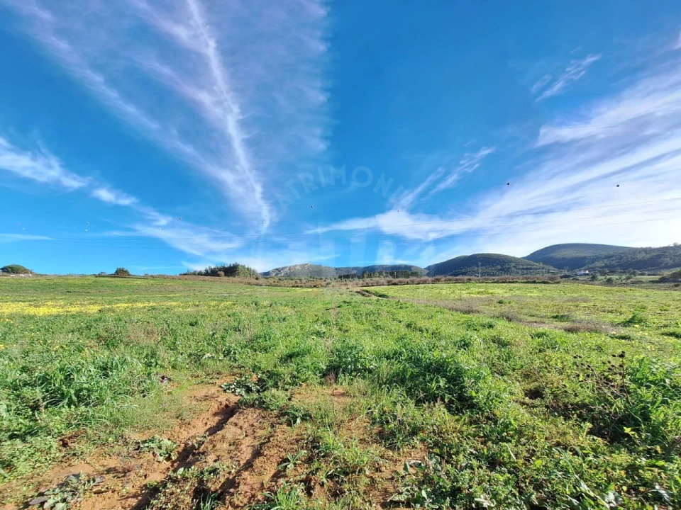 Terreno para Venda em Lamas e Cercal Foto 1