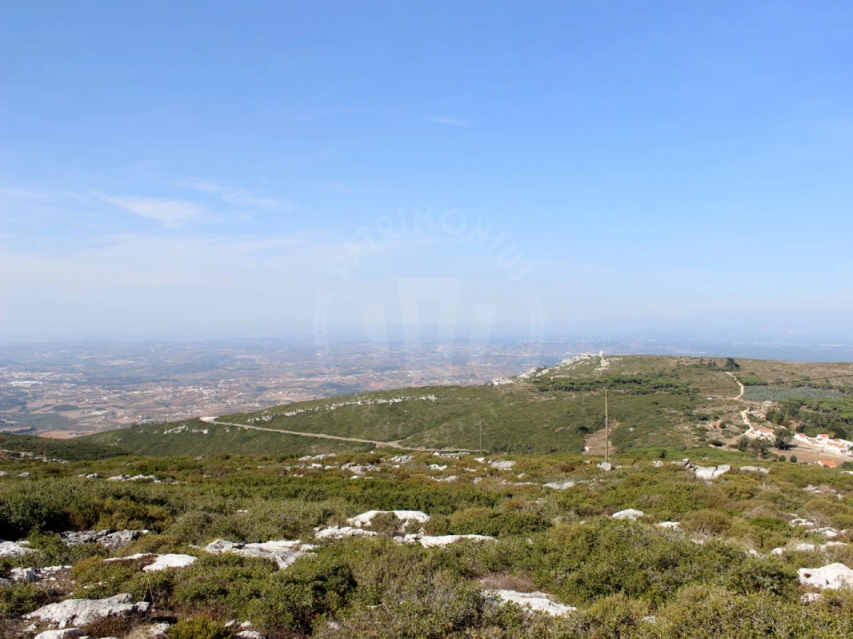Terreno para Venda em Lamas e Cercal Foto 11
