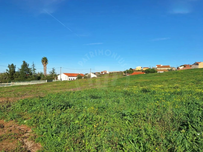Terreno para Venda em Lamas e Cercal Foto 3
