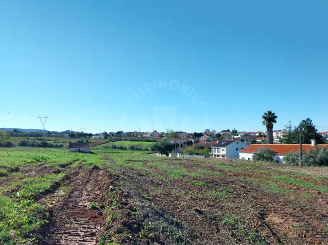 Terreno para Venda em Lamas e Cercal Foto 5