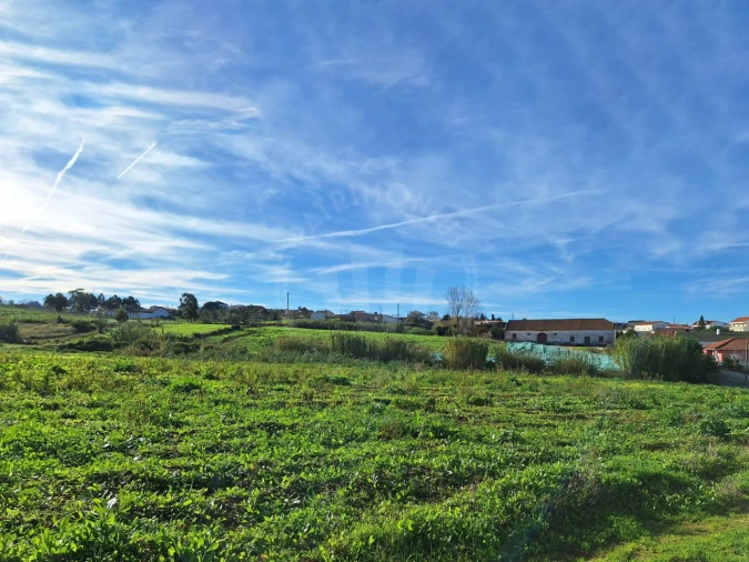 Terreno para Venda em Lamas e Cercal Foto 6