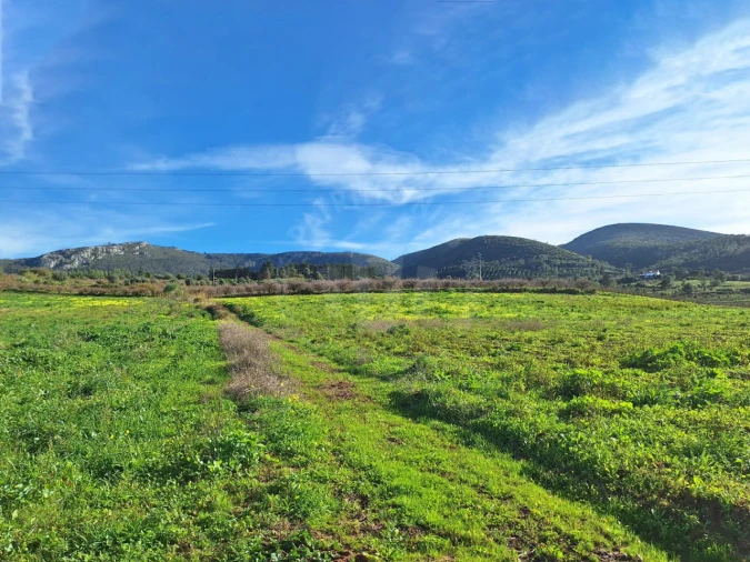 Terreno para Venda em Lamas e Cercal Foto 2
