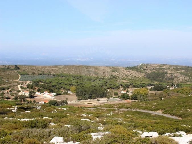 Terreno para Venda em Lamas e Cercal Foto 10
