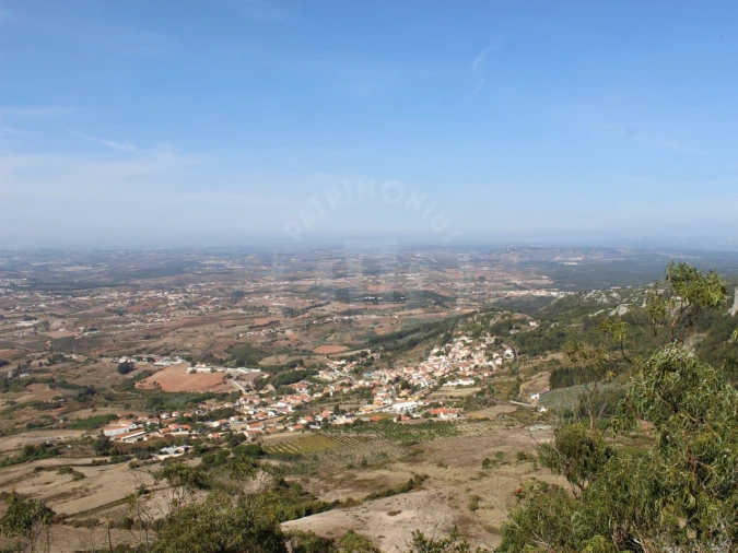 Terreno para Venda em Lamas e Cercal Foto 12