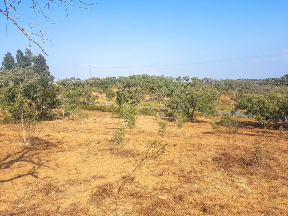 Terreno para Venda em Santiago do Cacém, Santa Cruz e São Bartolomeu da Serra Foto 9