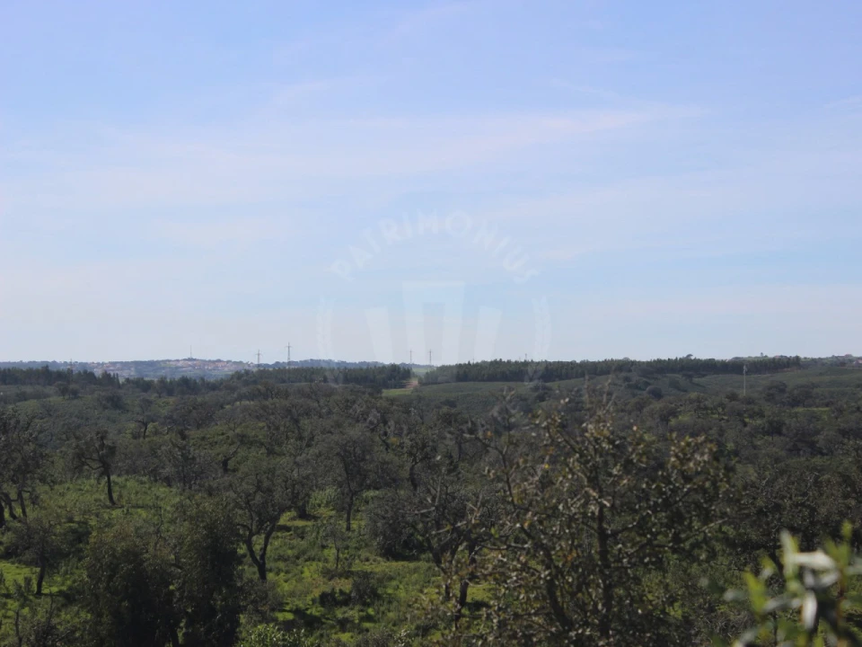 Terreno para Venda em Santiago do Cacém, Santa Cruz e São Bartolomeu da Serra Foto 3